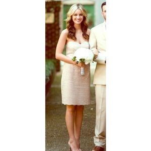 Champagne lace bridesmaid/cocktail dress