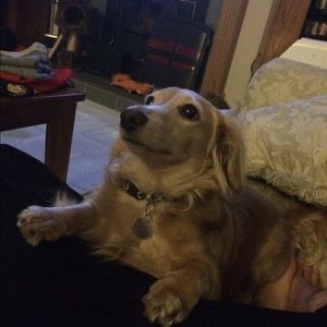 Meet your Posher, Cameron