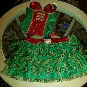 Robin Halloween Costume