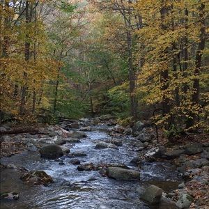 Meet your Posher, Robin