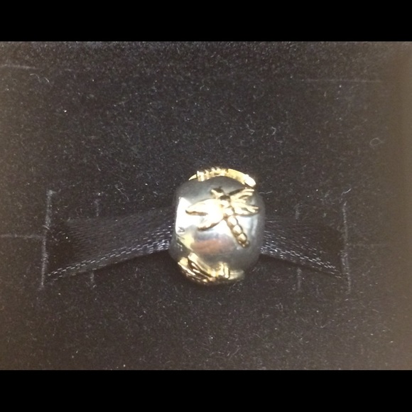 Pandora bead