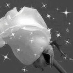 Meet your Posher, Trish