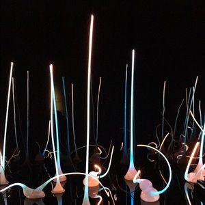 Meet your Posher, Yoohyung