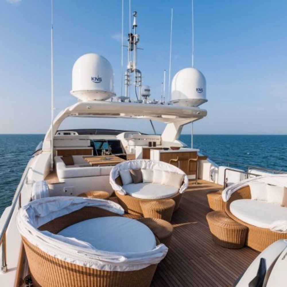 Meet your Posher, Ginger