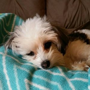 Meet your Posher, Tanya