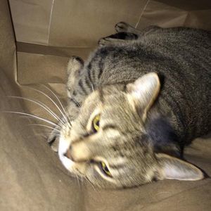 Meet your Posher, Christine