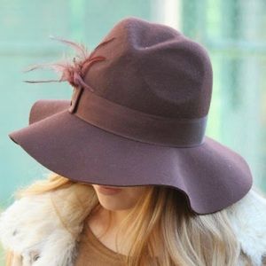 Brown felt hat