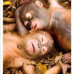 Meet your Posher, Jen