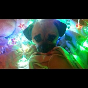 Meet your Posher, Tammy