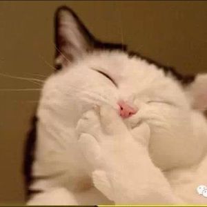 Meet your Posher, Hyemi