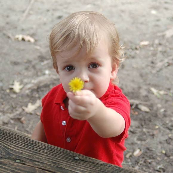 Meet your Posher, Janet - Picture 2 of 2