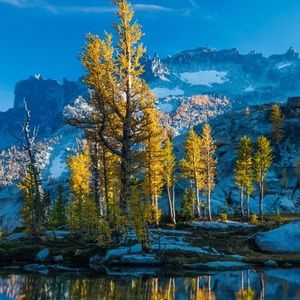 Meet your Posher, Marlene