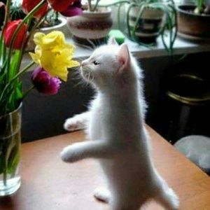 Meet your Posher, Debra