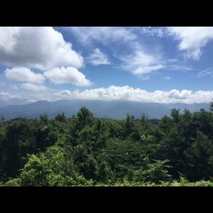 Meet your Posher, Jacqui