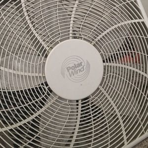 Meet your Posher, Rohit