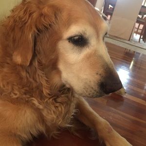 Meet your Posher, Faith