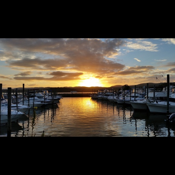 Meet your Posher, Yolanda - Picture 1 of 1