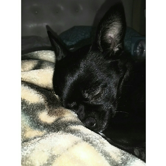 Meet your seller/buyer, Maria - Picture 2 of 3