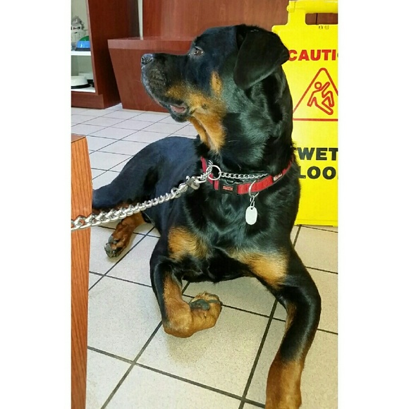 Meet your seller/buyer, Maria - Picture 3 of 3