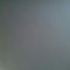 Meet your Posher, Tomika