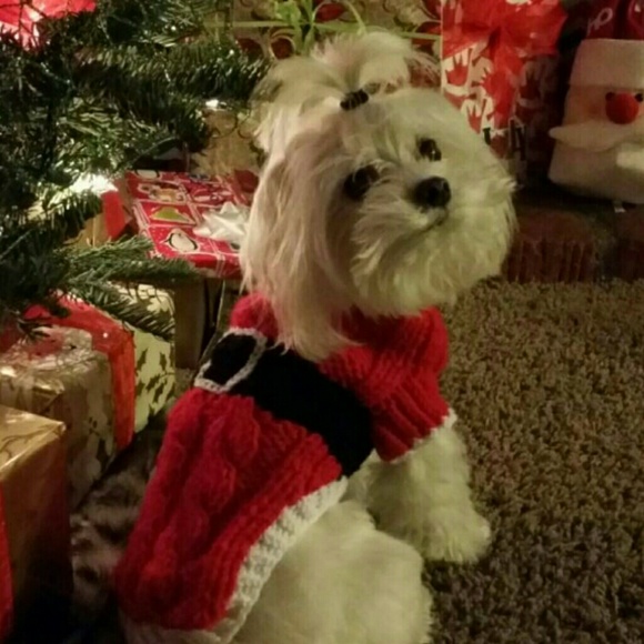 Meet your Seller!!! - Picture 4 of 8