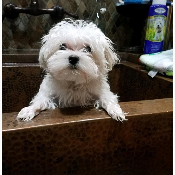 Meet your Seller!!! - Picture 8 of 8