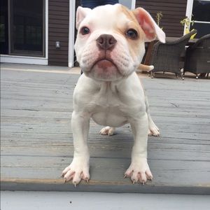 Meet your Posher, Kylie