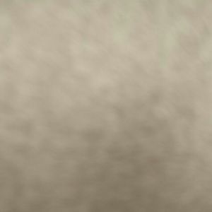 Meet your Posher, Jaden