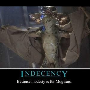 Meet your Posher, Venissa