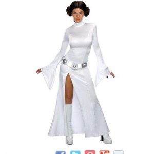 Luke and Leia costumes