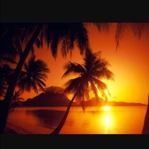 Meet your Posher, Ericka