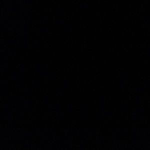 Meet your Posher, Shelby