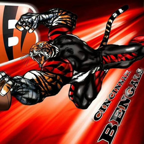 Meet your Posher, David - Picture 1 of 1