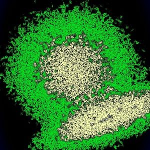 Meet your Posher, Jesse