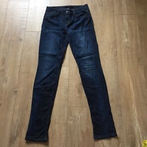 Joe's Jeans Visionaire Skinny Sz 29