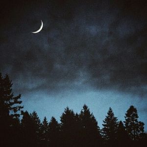 Meet your Posher, Joy