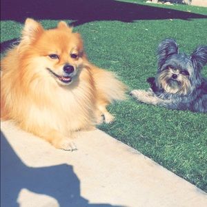 Meet your Posher, Cindy