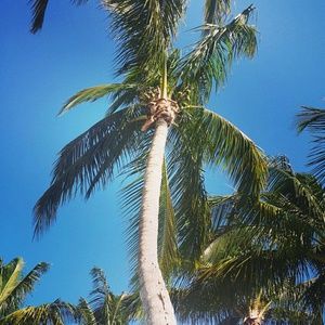 Meet your Posher, Nichole