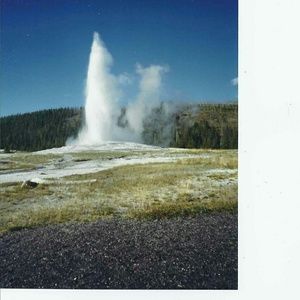 Meet your Posher, Gil