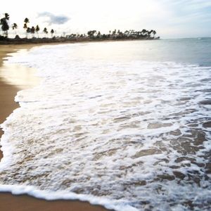 Meet your Posher, Janel