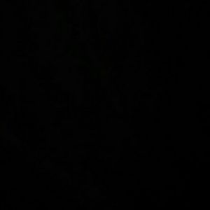 Meet your Posher, Jade