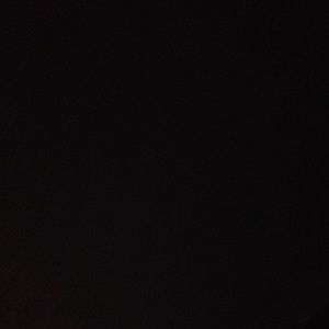 Meet your Posher, Carol