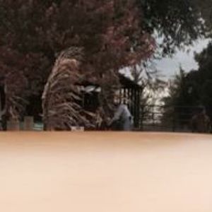 Meet your Posher, Liam