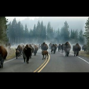 Meet your Posher, Ron