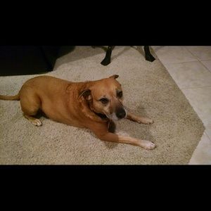 Meet your Posher, Elena