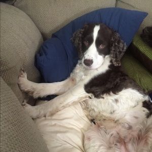 Meet your Posher, Sarah