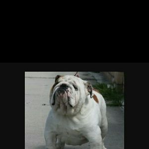 Meet your Posher, Blanca