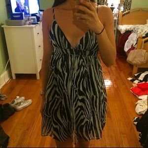 Zebra Striped Dress