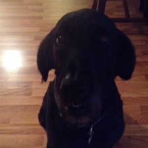 Meet your Posher, Athena