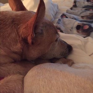 Meet your Posher, Michael